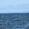 Aug 15, 2024. Capturing the serene beauty of Bay Roberts Harbour—where the sky meets the sea and every moment feels like a masterpiece.